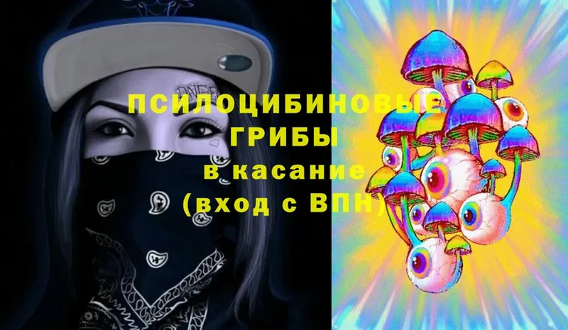 Галлюциногенные грибы Cubensis  Калач 